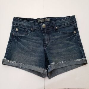 Denim Distressed Jeans Shorts Size 2
